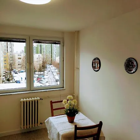 Cozy 2