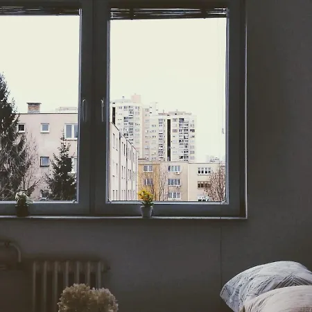 Cozy 2